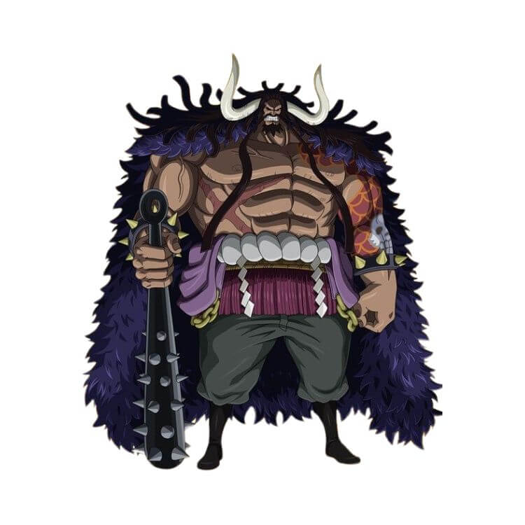 Kaido One Piece