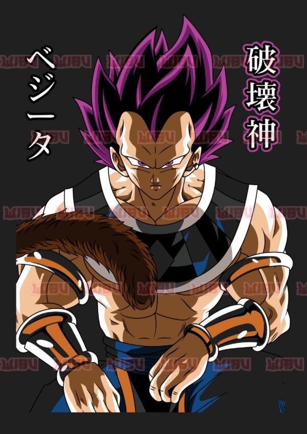 Dragon Ball Vegeta V7