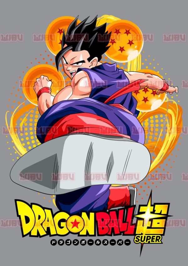 Dragon Ball Super Son Gohan