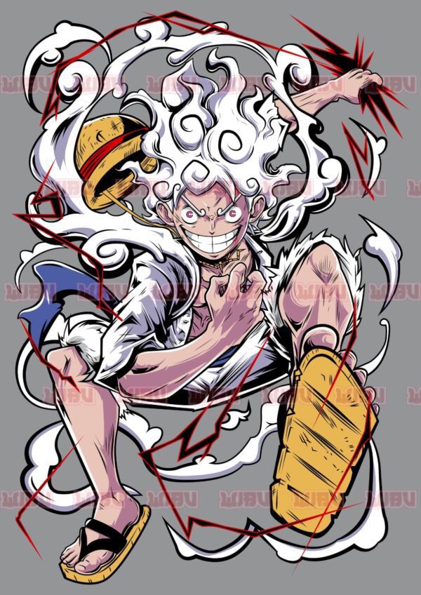 Monkey D.Luffy V13