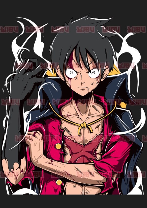 One Piece Monkey D.Luffy