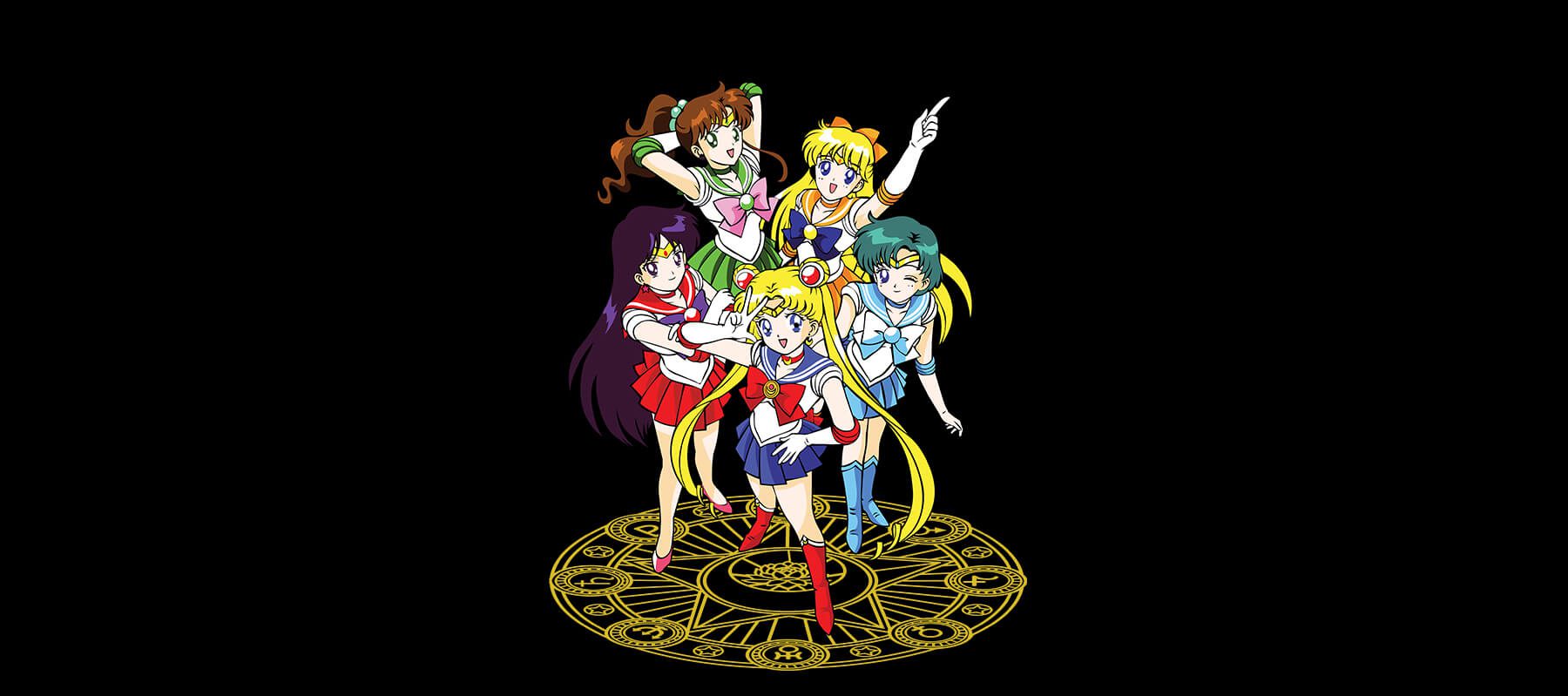 BANNER SAILOR MOON