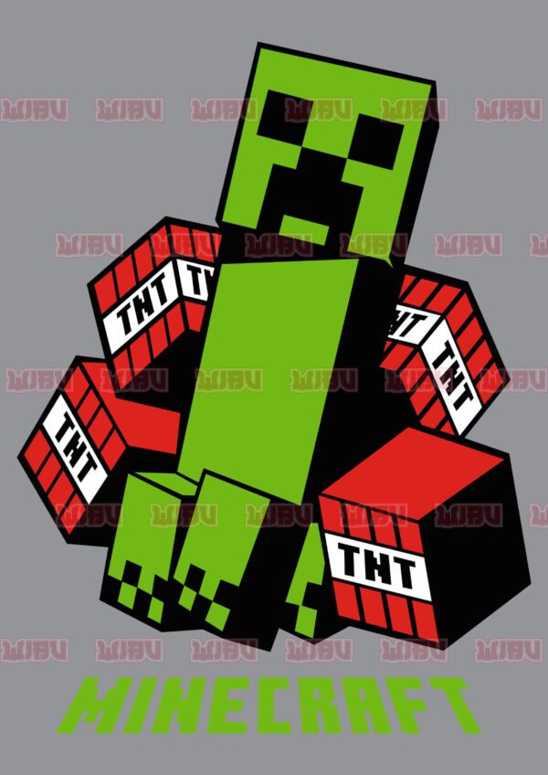 Minecraft 6