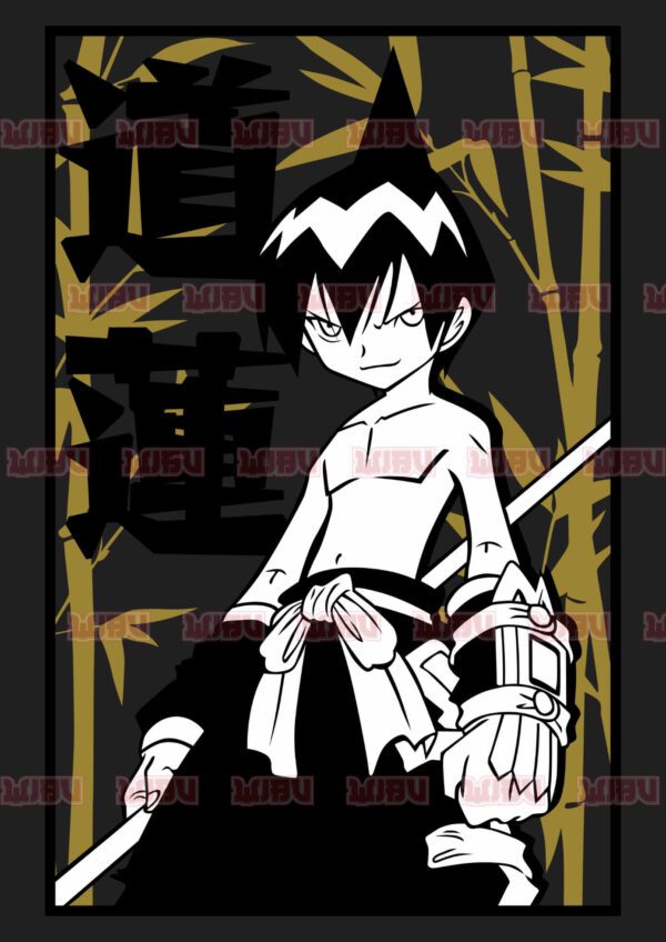 Shaman King 6