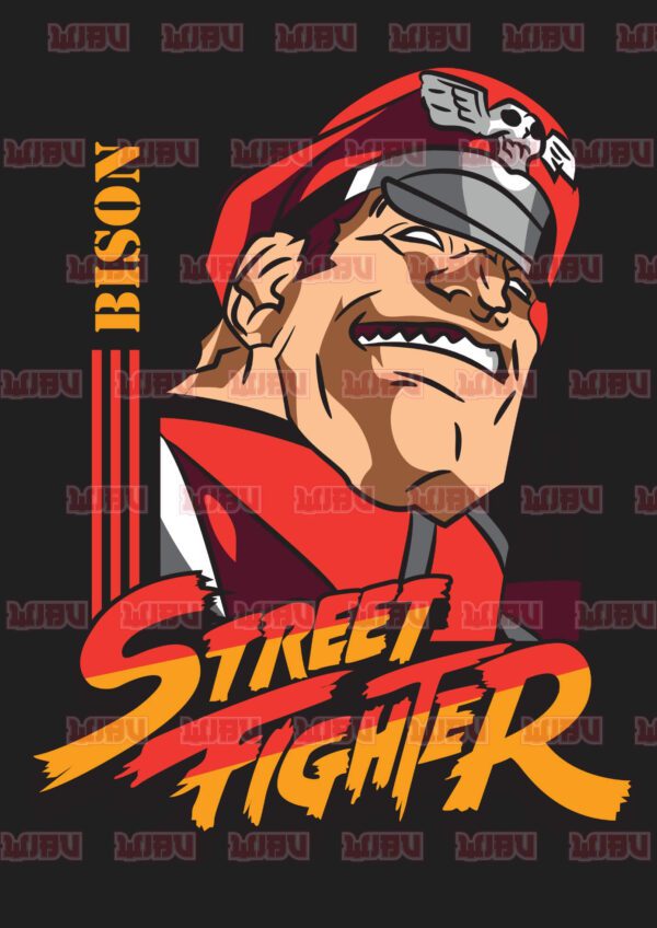 Street Fighter Mr Bison 2