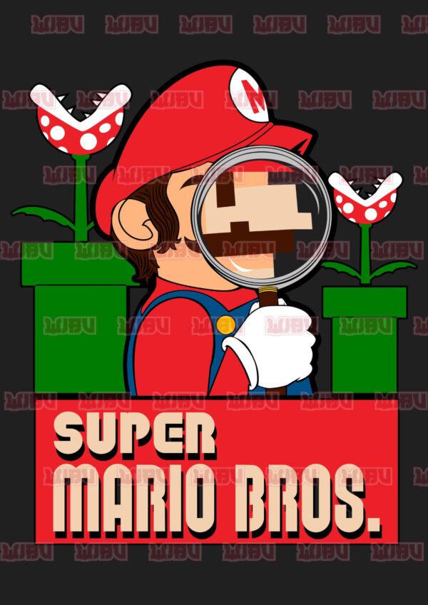 Super Mario Bros 17